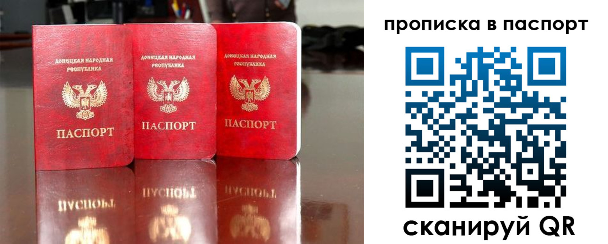 прописка поиск в Светлогорске