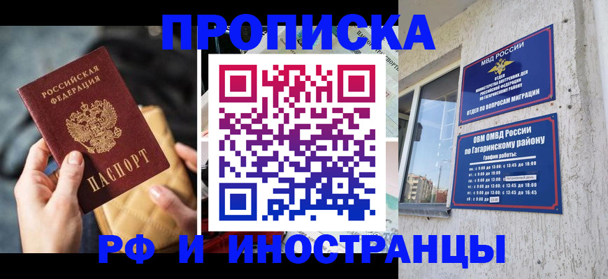 временная регистрация поиск в Светлогорске